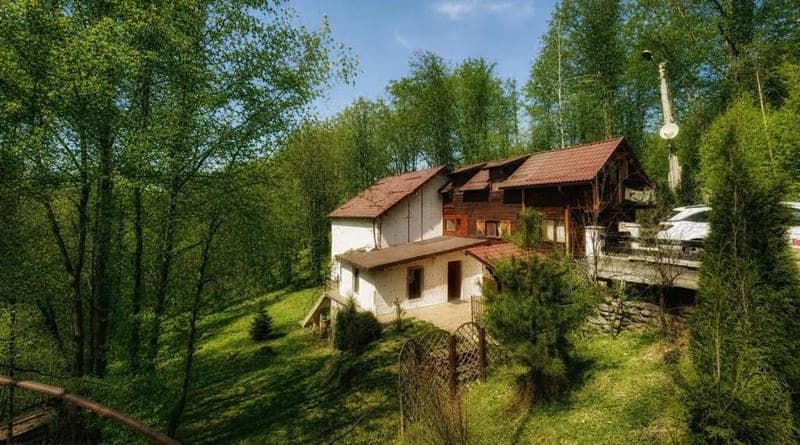 Cabana de lemn cu acoperiș roșu, așezată pe o pantă verde, cu pădurea de jur împrejur.